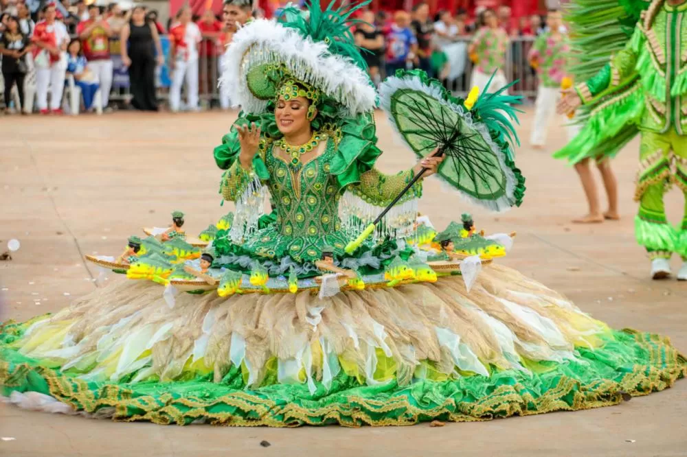 Sinhazinha do boi Flor do Campo - Leila Souza