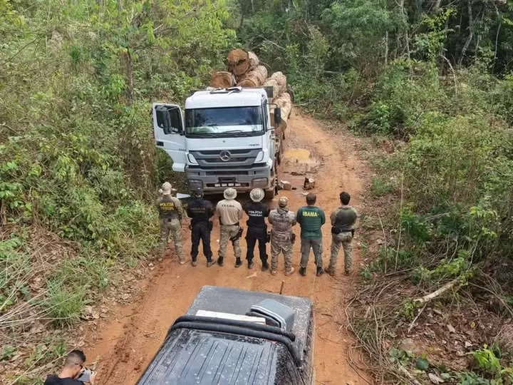 PF combate extração ilegal de madeira em terra indígena em Rondônia — Foto: PF