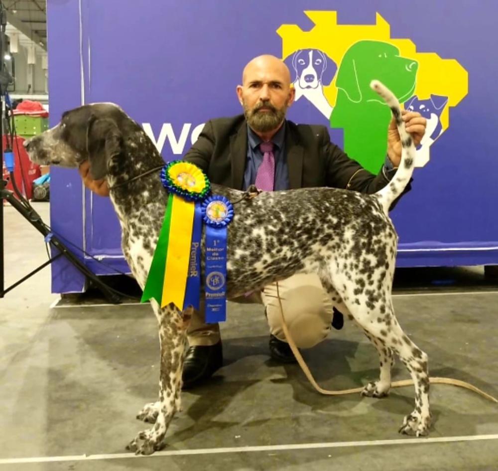 Foto para divulgação 