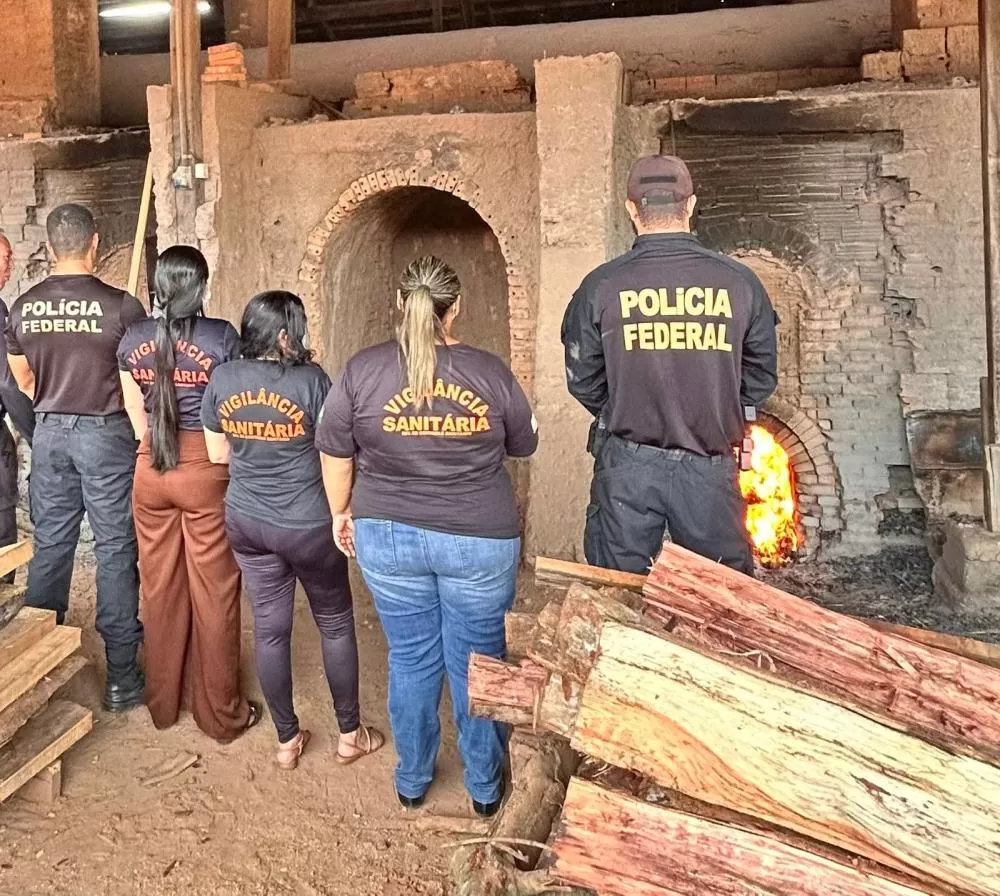 Polícia Federal incinera drogas apreendidas em operações em Guajará-Mirim