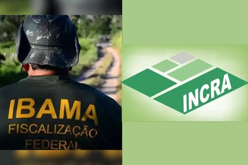 Foto: Montagem/Rondoniaovivo