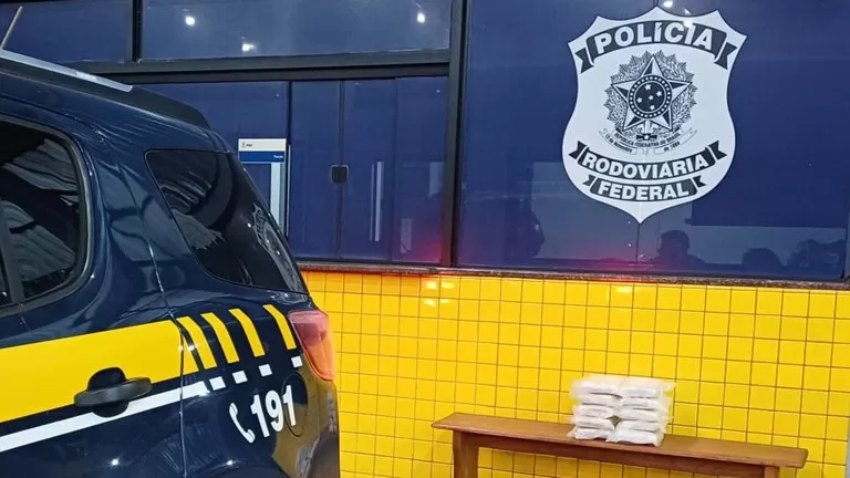 Mulher é detida após PRF apreender skunk em ônibus na BR-364