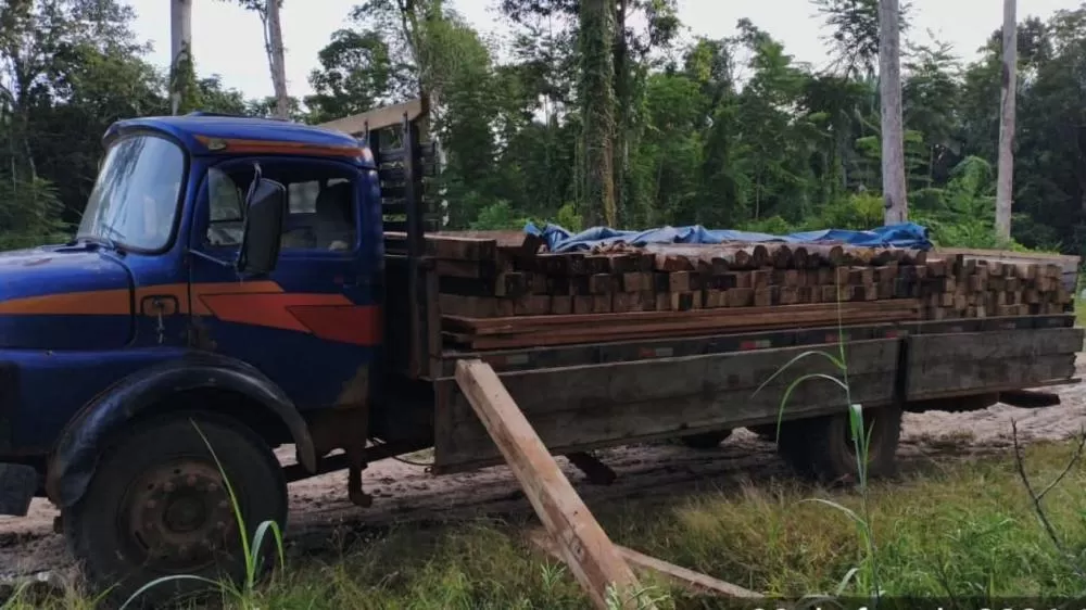 Batalhão de Polícia Ambiental flagra transporte ilegal de madeira durante operação no Parque Estadual Guajará-Mirim