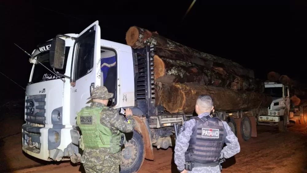 Operação Vesúvio localiza comboio com caminhões de madeira ilegal em área próxima à cidade de Vista Alegre do Abunã