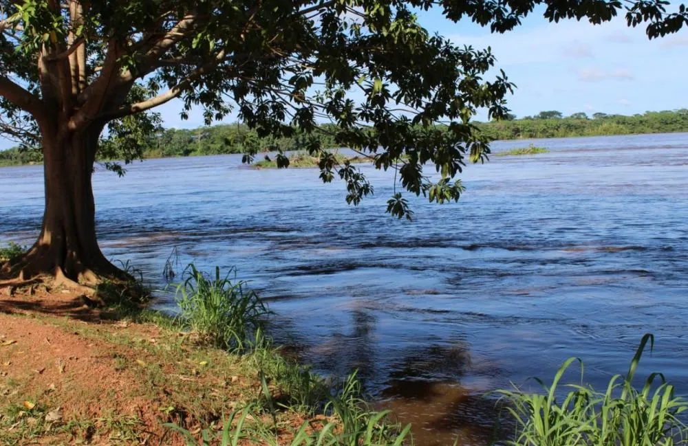 Em Guajará-Mirim, distribuidor de peixe foge pelo rio para evitar prisão por furto de energia