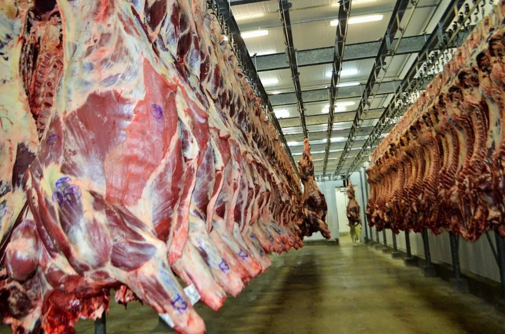 Carne bovina supera soja e lidera exportações de Rondônia em maio