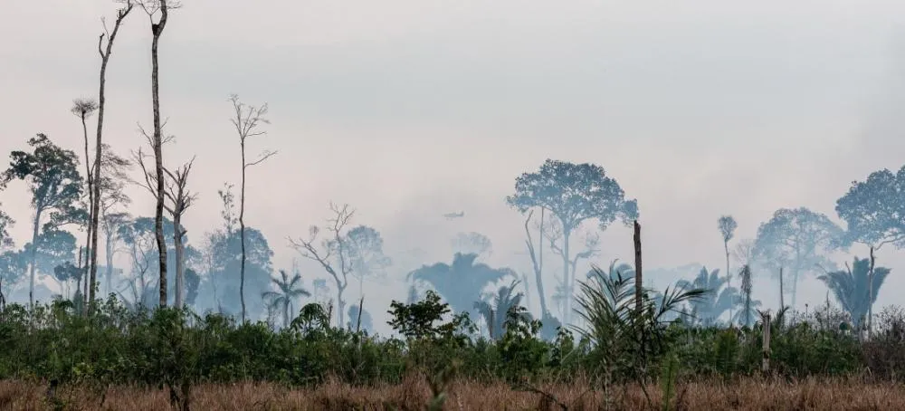 Ibama inicia operação para prevenir incêndios florestais na Amazônia