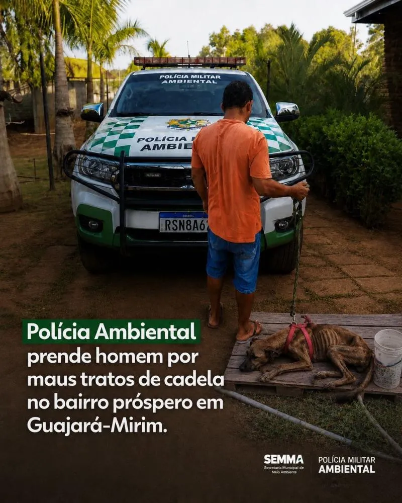 Foto: Reprodução 