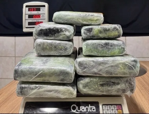 Mulher é presa com 13 kg de skunk no aeroporto de Porto Velho