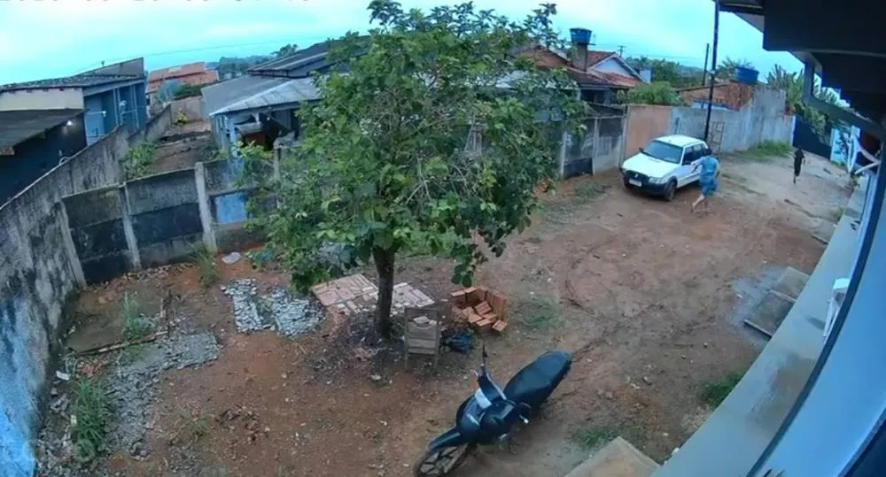 Foto: Reprodução 