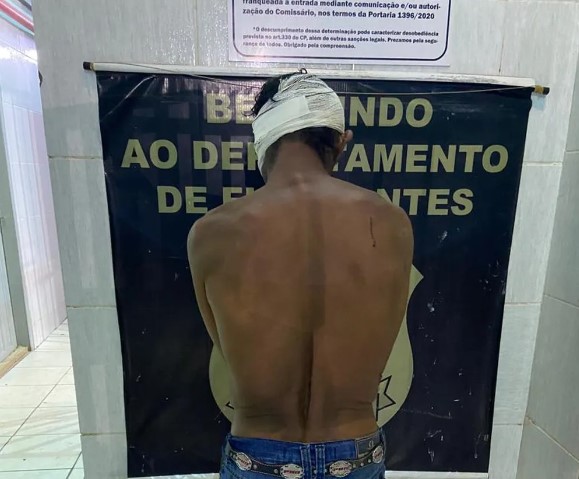 Divulgação