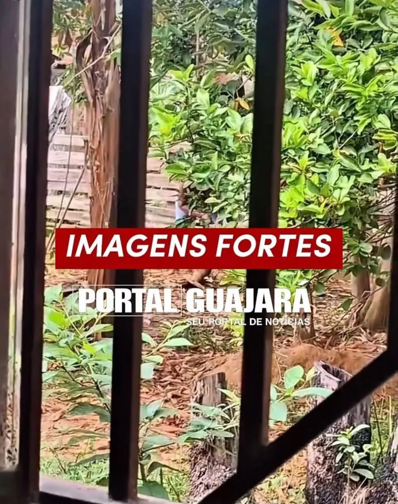 Mulher é presa suspeita de agredir cachorro no bairro Jardim das Esmeraldas, em Guajará-Mirim