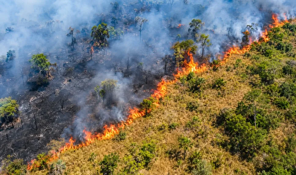 Desmatamento na Amazônia atinge menor nível da série histórica em 2025, aponta MapBiomas