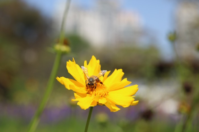 © Rovena Rosa/Agência Brasil