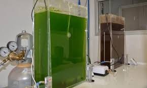 © Arquivo/Agência Brasil