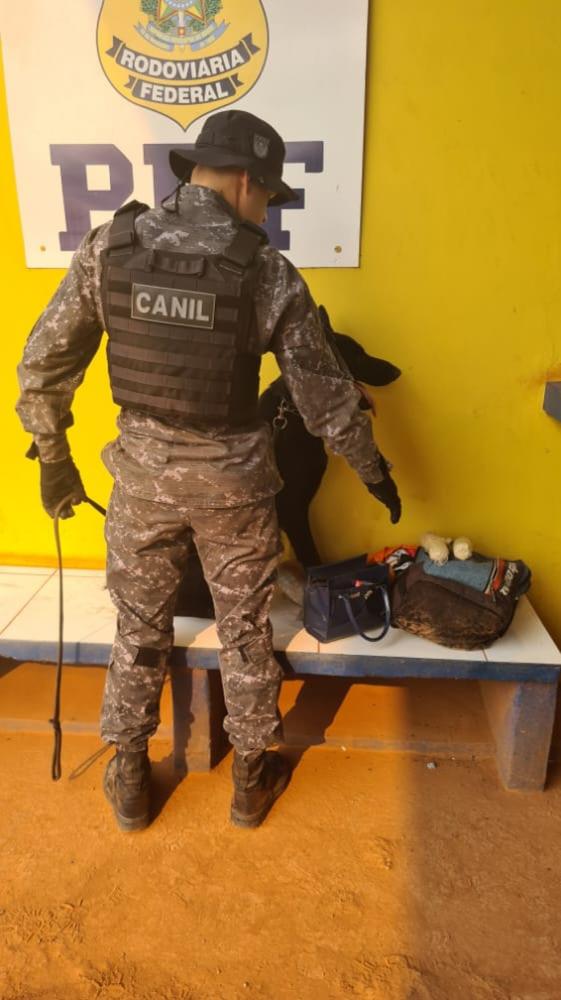 Foto para divulgação 