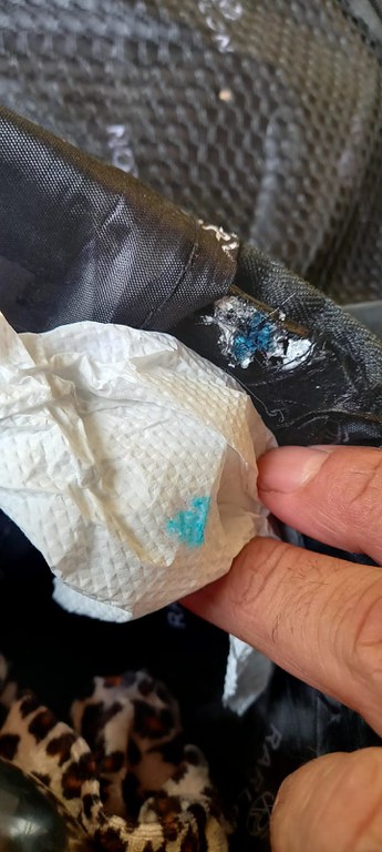 Foto para divulgação 