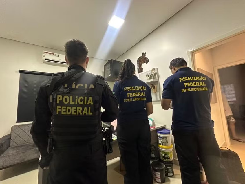 Foto: Divulgação 